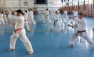 Summer GASSHUKU 2024_26